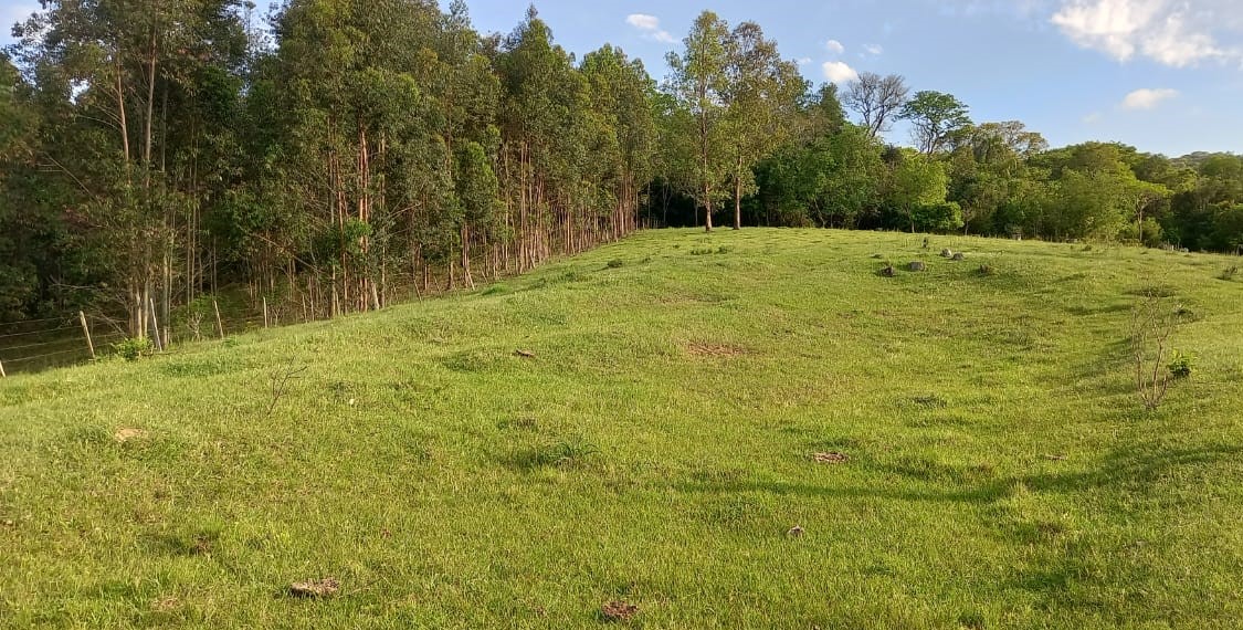 Venda Chácara Santa Maria - RS